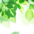 当院の特徴